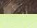 Realtree AP/ Neon Yellow