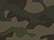 Forest Camo