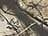 RealTree APX