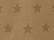 Coyote Brown Star