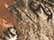 Realtree Edge