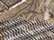 Realtree Xtra