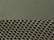 Loden