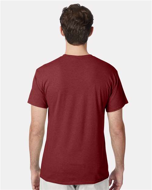On Model Back