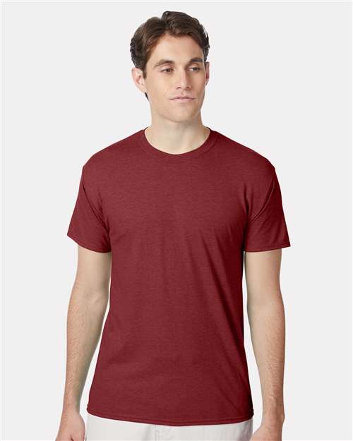 Hanes 42TB