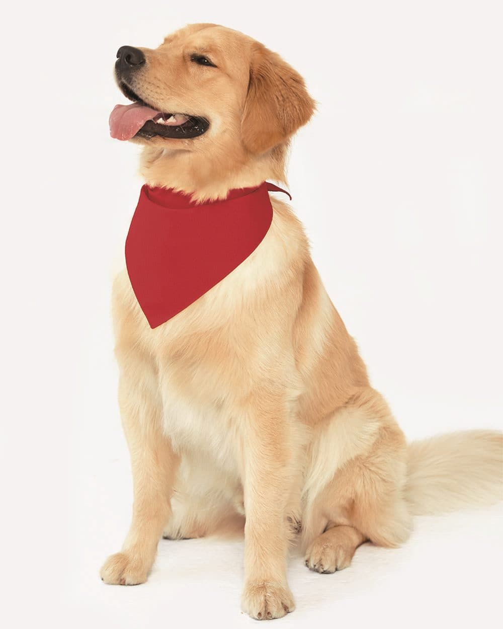 Mens & Unisex Bandanas